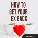 How To Get Your Ex Back - Knowledge and Tips APK