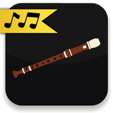 Flute Lessons icon