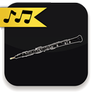 Oboe Lessons APK