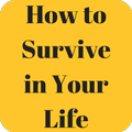 How to Survive in Your Life