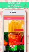 Рецепты консервирования تصوير الشاشة 2