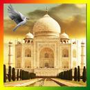 Taj Mahal Birds Live Wallpaper APK