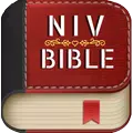 Niv Bible - Niv Study Bible