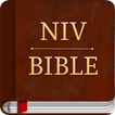 NIV BIBLE : NIV STUDY BIBLE