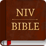 NIV BIBLE : NIV STUDY BIBLE