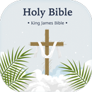 KJV Holy Bible Book with Audio APK