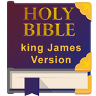 Holy christian bible-icoon