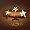 Holy Week Liturgy APK