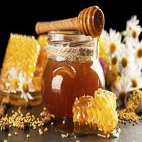 Benefícios do mel, dicas imagem de tela 2