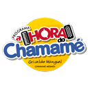 APK Rádio Chamamé MS