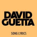 David Guetta Lyrics APK