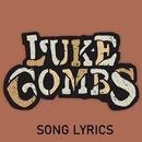 Luke Combs Lyrics APK