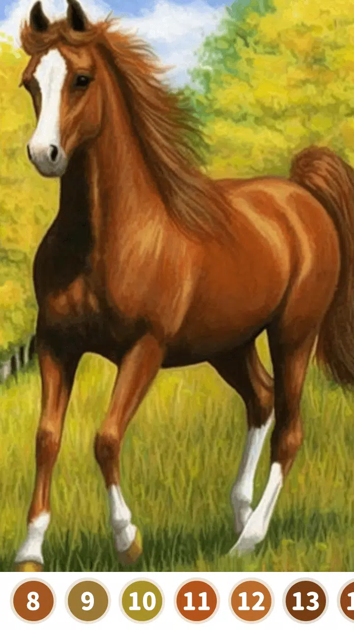 Download do APK de Cavalo livro de colorir para Android