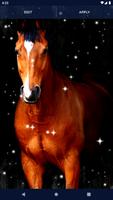Majestic Horse Live Wallpaper スクリーンショット 3