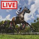 Horse Racing Live Stream APK