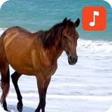 Horse Sound Effects icon