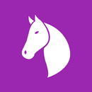 Horse Racing News APK