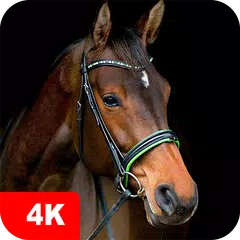 Descargar XAPK de Fondos de pantalla caballos 4K
