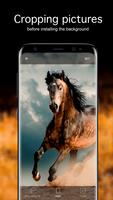 Horse Wallpapers 4K ảnh chụp màn hình 3