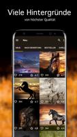 Hintergrundbilder mit Pferde Screenshot 1