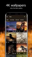 برنامه‌نما Horse Wallpapers PRO عکس از صفحه