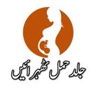 Get Pregnant Fast , Urdu Tips icône