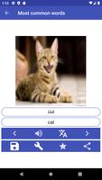 Learn Arabic poster