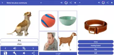 Learn English Language