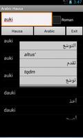 Hausa Arabic Dictionary poster