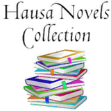 Hausa novels books icône