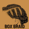 Knotless Box Braid Hairstyles  APK