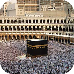 Хаджи Видео Живые Обои