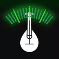 Mandolin Tuner