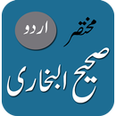 Sahih Bukhari - Urdu APK