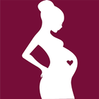 Day by Day Pregnancy Tracker icon