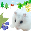 Hamster Walks APK