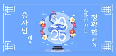 2025 점신 : 을사년 신년운세, 사주, 타로, 상담