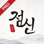 2025 점신PRO : 을사년 신년운세,사주,타로,상담 ícone