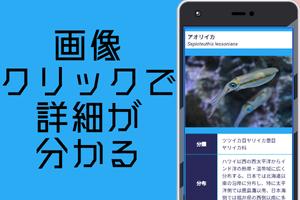 魚図鑑 screenshot 2