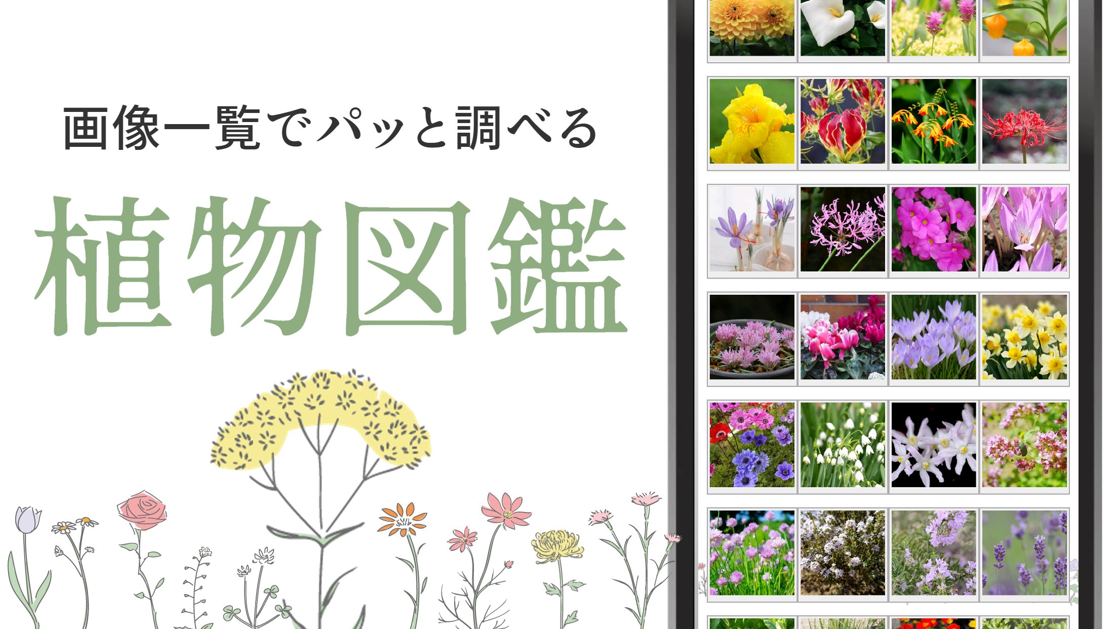 植物 図鑑アプリ For Android Apk Download