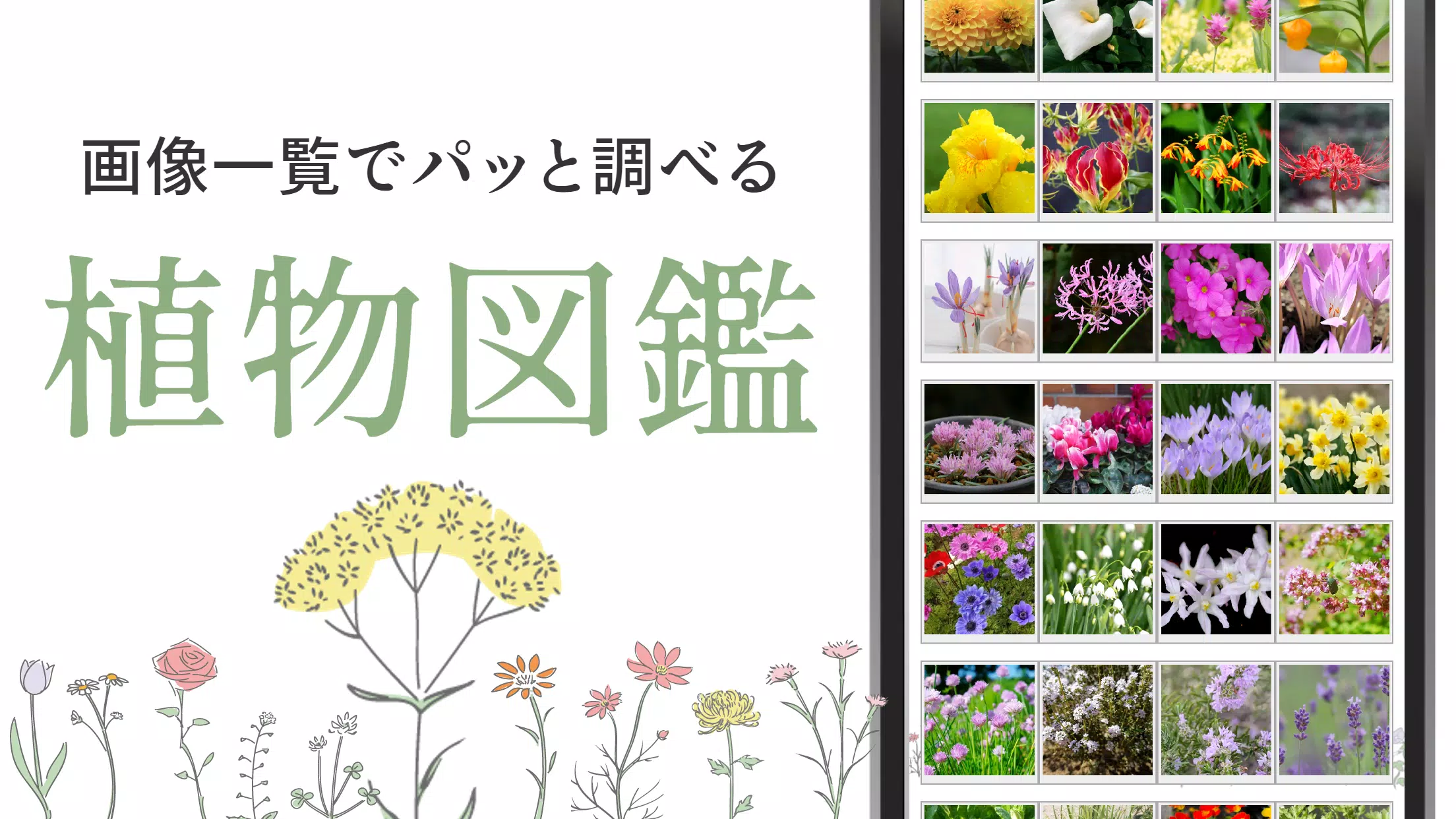 植物 図鑑アプリ For Android Apk Download