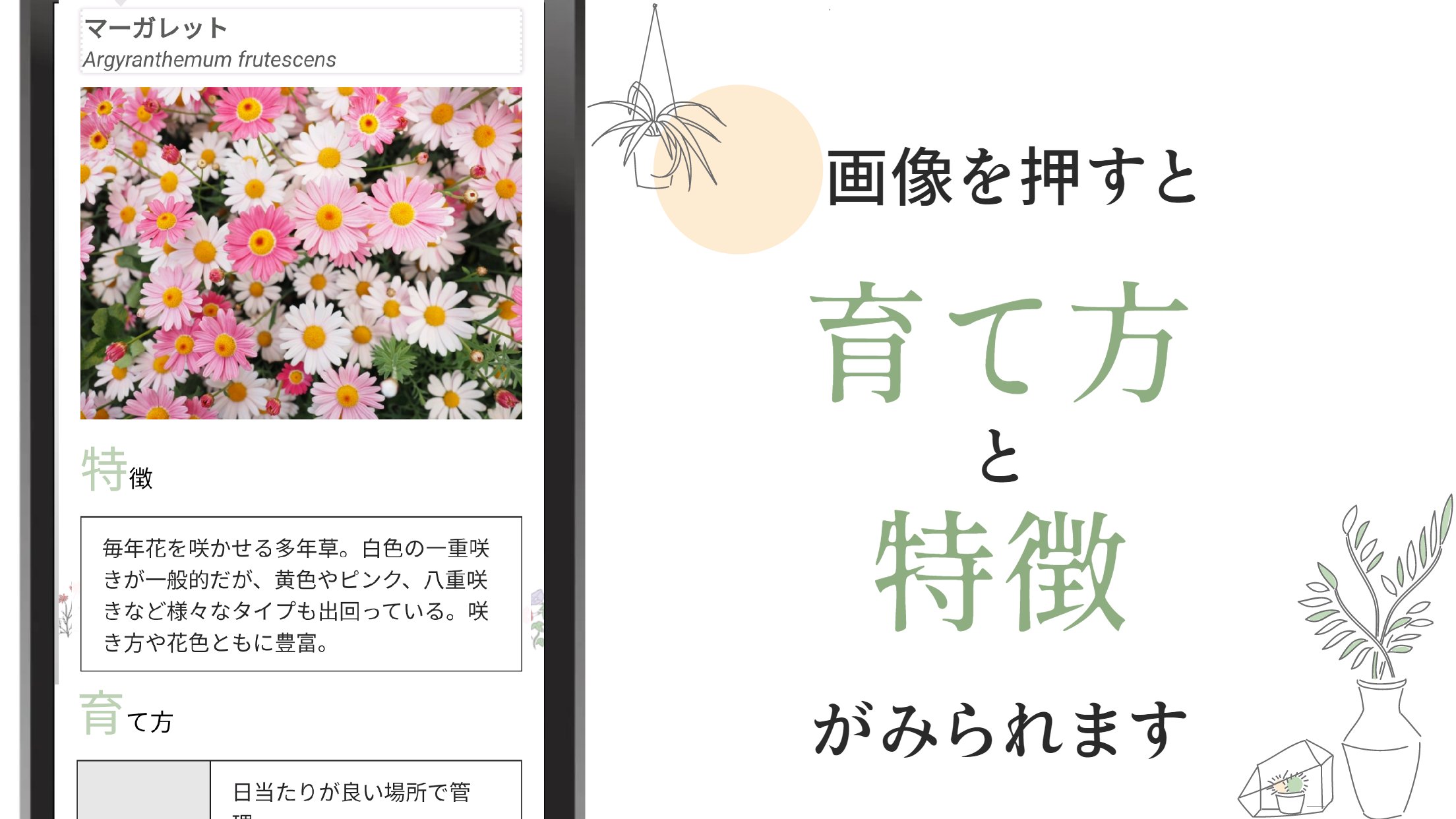 Android용 植物 図鑑アプリ Apk 다운로드