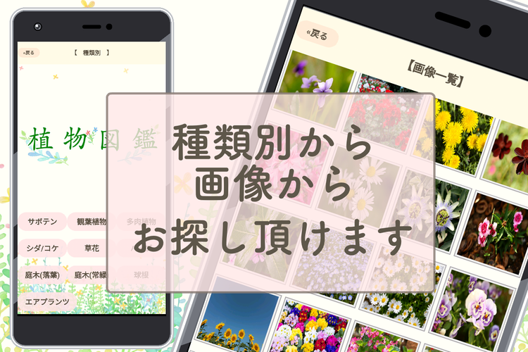 植物写真名前調べる 図鑑アプリ観葉植物サボテンの花インテリア多肉花ガーデニング Apk 1 0 5安卓下載 下載植物写真名前調べる 図鑑アプリ観葉 植物サボテンの花インテリア多肉花ガーデニング Apk最新版本