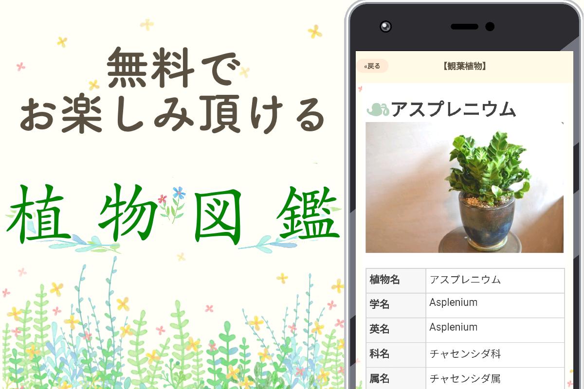 植物図鑑名前を調べる Lekovi