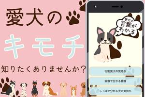 犬の言葉がわかるアプリ  ワンちゃんのお世話 いぬの気持ち screenshot 3