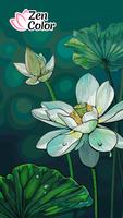 Zen Color Affiche