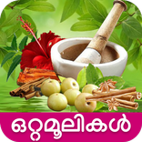 Ottamooli Malayalam
