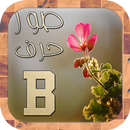 صور حرف B APK