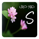 صور حرف S APK