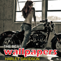 harley davidson bikes hd wallpapers